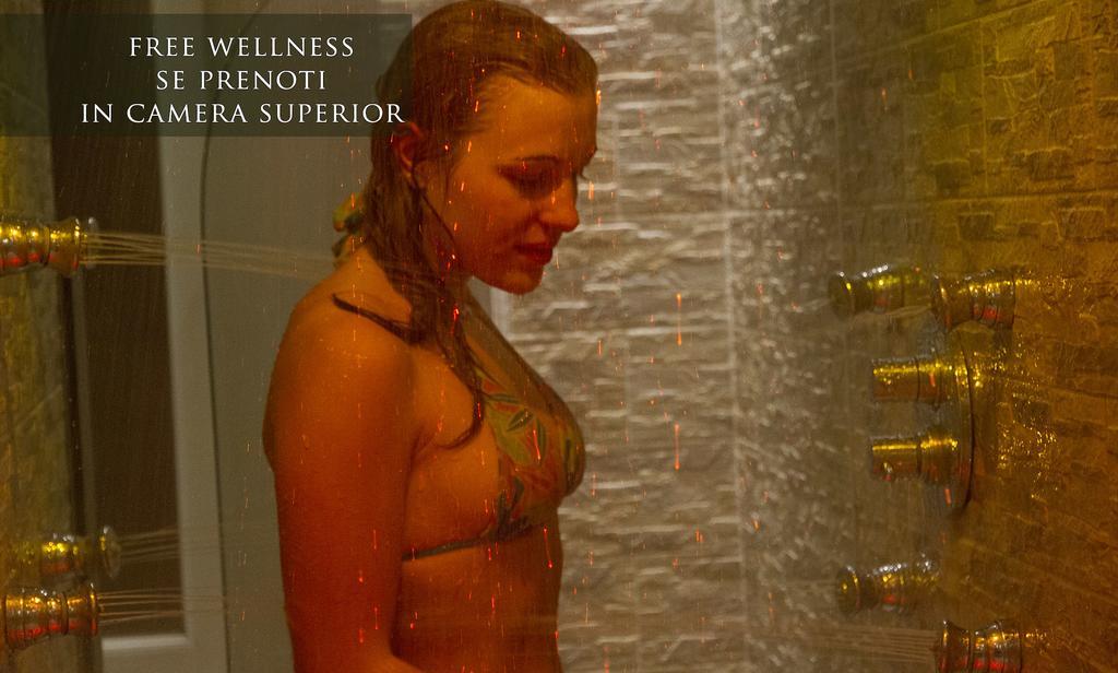 Al Pelmo Wellness 3* Pieve di Cadore